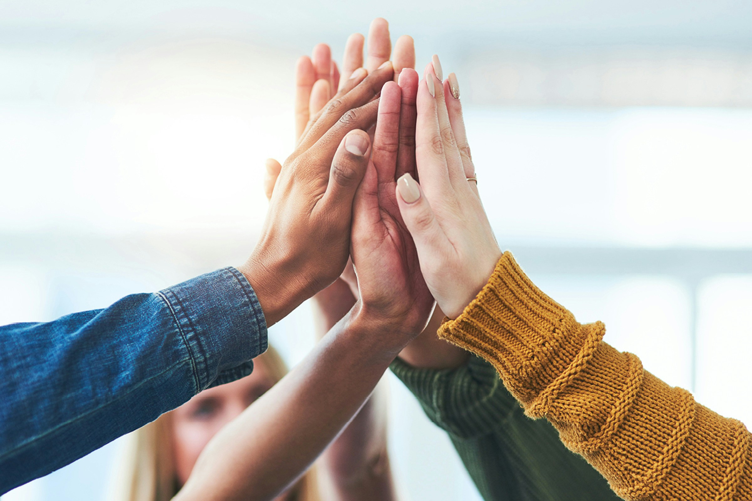 Bonita-einschlagende Hände