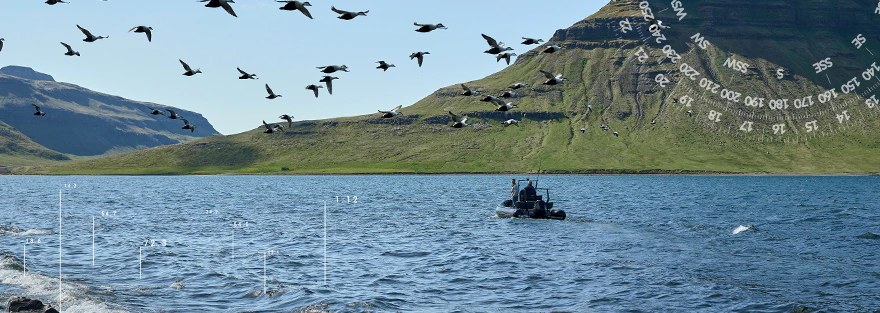 Wasser mit einem Berg im Hintergrund und Vögeln in der Luft