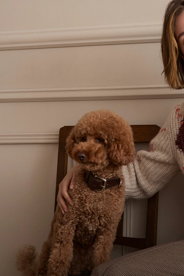 Model trägt einen gemusterten Strickpullover über einer gestreiften Bluse mit Schleife und einen karierten Rock. Neben ihr sitzt ein brauner Hund