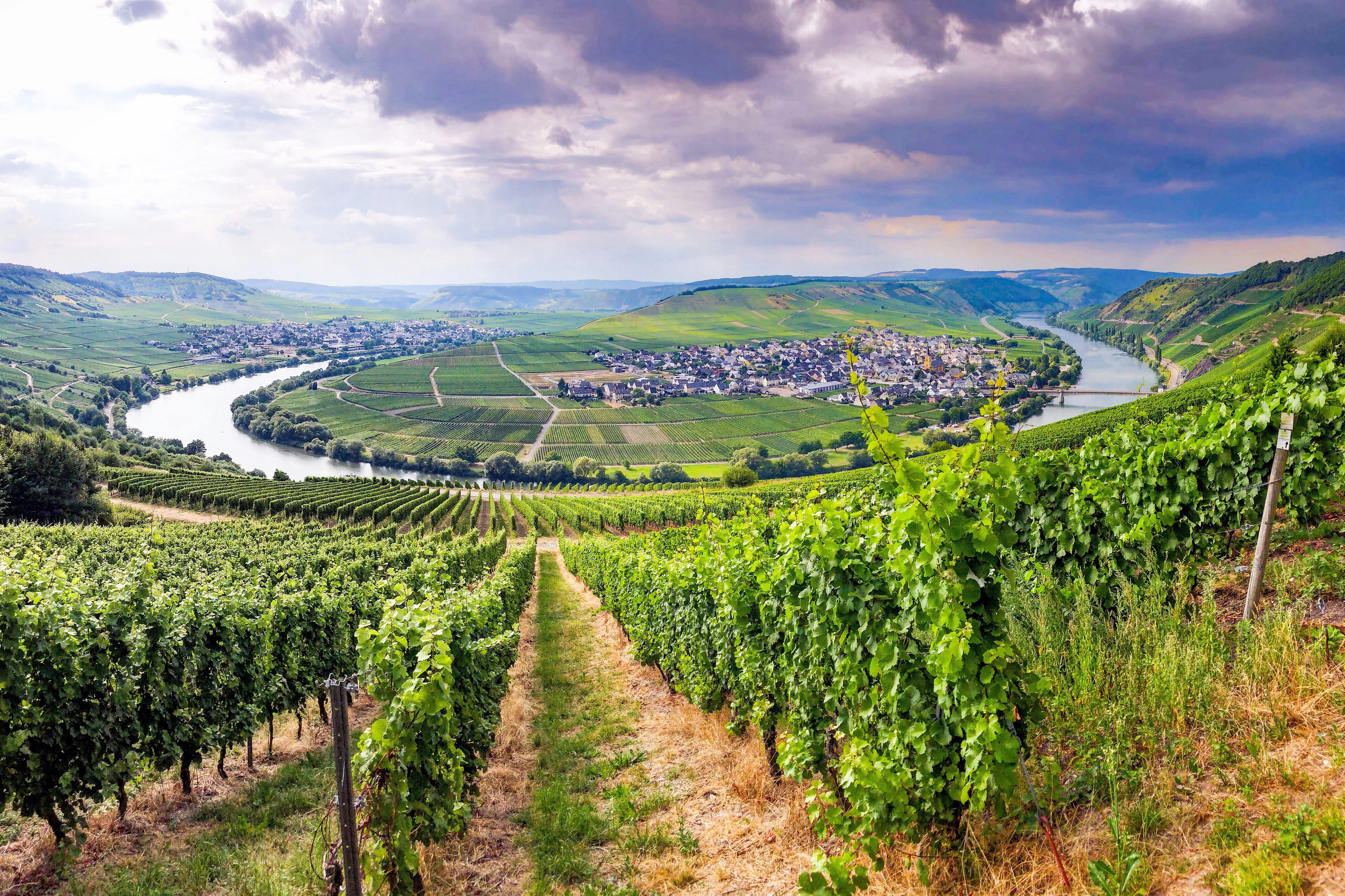 WEINWANDERUNGEN IM BUNDESLAND HESSEN visual data 8
